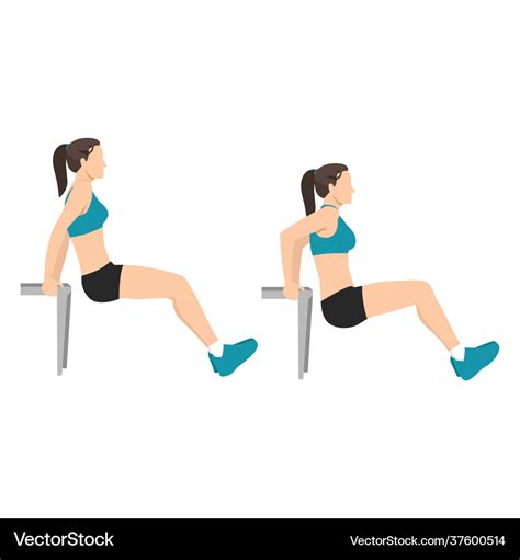 Woman doing bench tricep dips exercise Royalty Free Vector