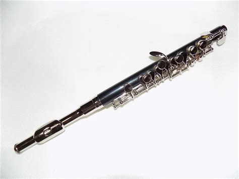 Woodwind instrument piccolo flute ABS Body Cupronickel head C Key Piccolo flute with case-in ...