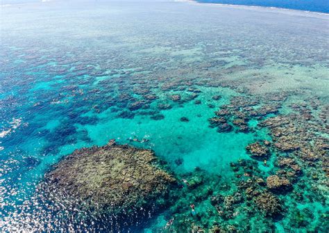 great-barrier-reef-snorkelling - Great Barrier Reef Liveaboards