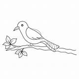 Premium Vector  Kids coloring Pages Cute bird sit On Tree Branch sketch template