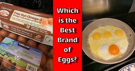 Which is the Best Brand of Eggs? - The Elite Trainer