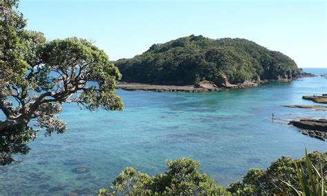 Matakana Tourism and Holidays: Best of Matakana, New Zealand - Tripadvisor