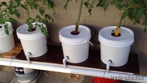 Cheap DIY Bato.Dutch Bucket Hydroponic System #youtubeaquaponicssystems ...