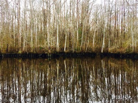 Waccamaw River — Rigging Doctor