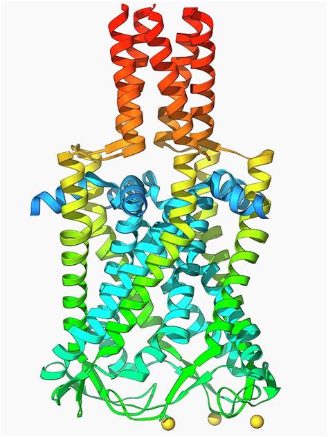 Mscl Ion Channel Protein Structure Photograph by Laguna Design/science Photo Library - Pixels