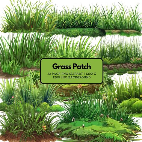 Patch of Grass Clipart Pack Grass Patch, Grass Clipart, Grass and Dirt ...