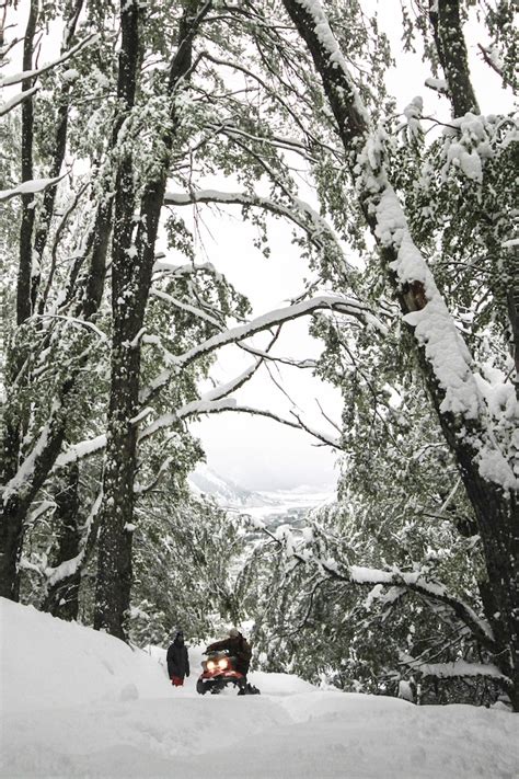 Biggest Snowfall of the Year in Patagonia Yesterday! - SnowBrains