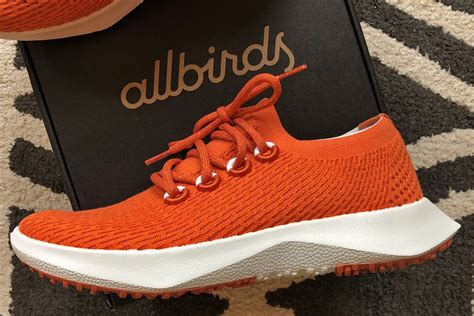 Allbirds Tree Dasher 2 Review | Testing Allbirds Performance Running Shoes