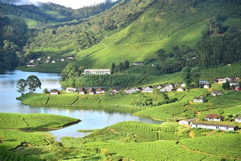 Munnar Packages from Bangalore - Get Upto 40% Off