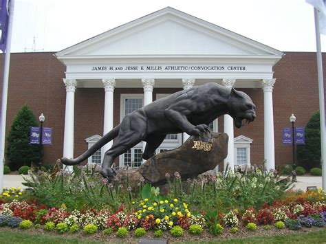 Andean Trekker: The High Point Greenway and High Point University