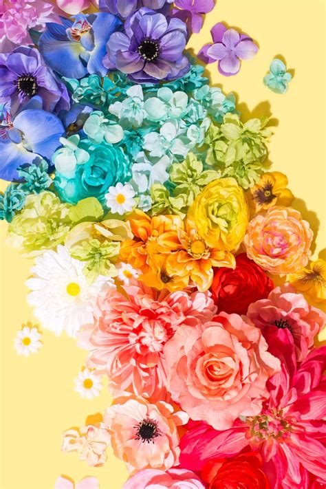 Rainbow Flowers Wallpapers - Top Free Rainbow Flowers Backgrounds ...