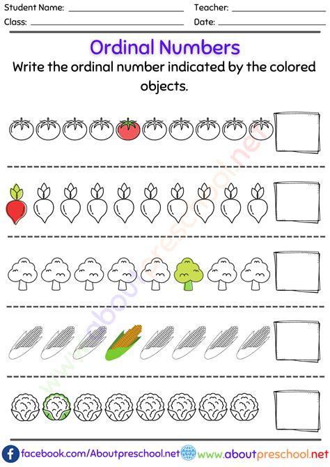 Ordinal Numbers Worksheet 1 10