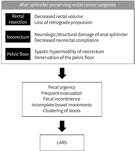 Pathophysiology of low anterior resection syndrome (LARS). | Download Scientific Diagram