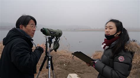 In Korean DMZ, Wildlife Thrives. Some Conservationists Worry Peace Could Disrupt It : NPR