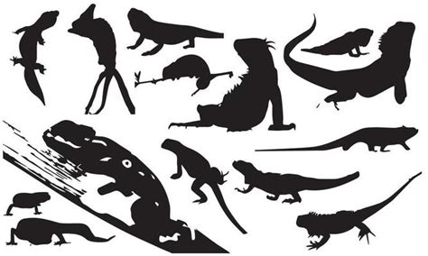 Reptile Silhouette Vector Art, Icons, and Graphics for Free Download