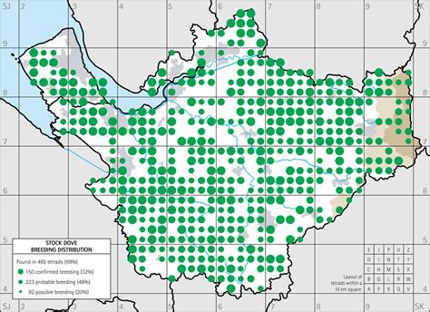 Stock Dove breeding distribution maps