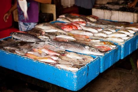 Jimbaran Fish Market (Pasar Ikan Tradisional Kedonganan), Bali | Tickets & Tours - 2024