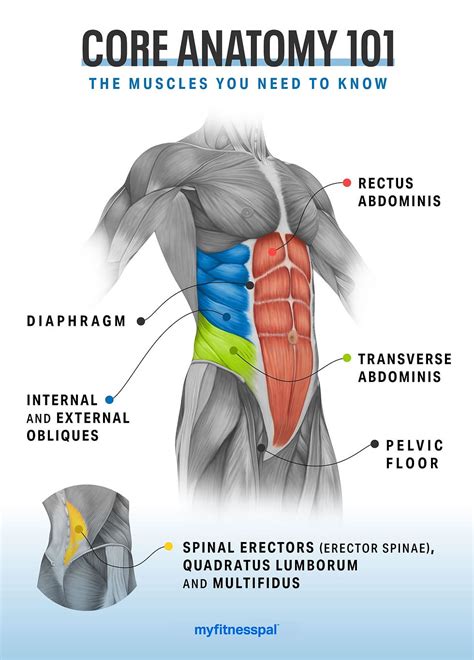 Strength Training for Core: Complete Guide