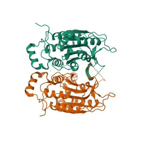 RCSB PDB - 3E4C: Procaspase-1 zymogen domain crystal structure