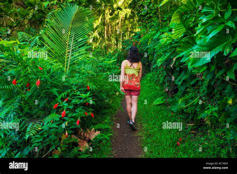 Woman hiking the Onomea Bay trail, Hamakua Coast, The Big Island ...