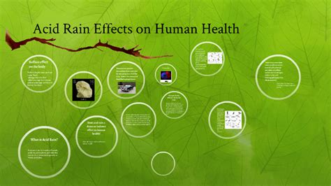 Acid Rain Effects On Humans Lungs