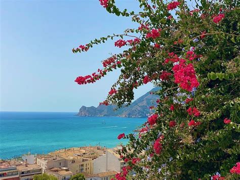 Living in Altea Spain: The Definitive Guide | Torrevieja Translation