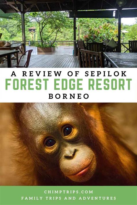 A review of the Sepilok Forest Edge Resort, Borneo - Chimptrips