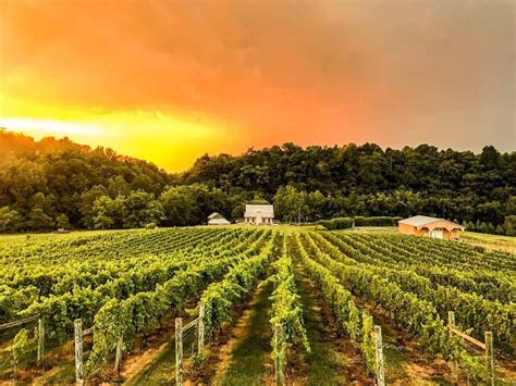 The Best Wineries in Virginia - Top Recommended Wineries! - Vino Del Vida