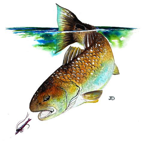 A Year On The Fly: The Redfish Painting