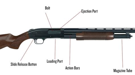 Parts of a Shotgun: A Complete Guide – Afield Daily