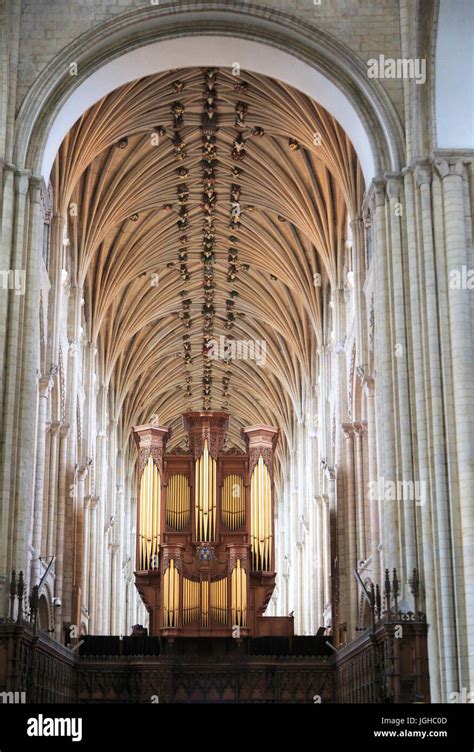 Interior organ and ceiling Norwich cathedral church, Norwich, Norfolk ...