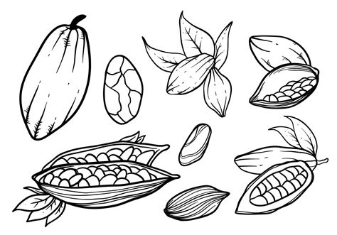 Hand Drawn Cocoa Beans Vector - Download Free Vector Art, Stock ...