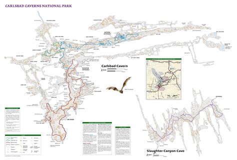 Carlsbad Caverns Maps