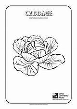 Crops Coloring Pages At GetColoringscom  Free Printable Colorings sketch template