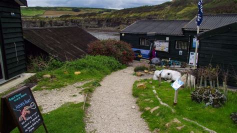 How to Spend a Day at Kimmeridge Bay - ViewBritain.com