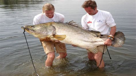 Fishing in Lake Victoria in Uganda, fishing safaris in Uganda | Gorilla Link Tours