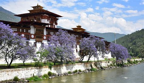 Top 5 Bhutan Dzongs | Updated for 2020 | Regent Holidays