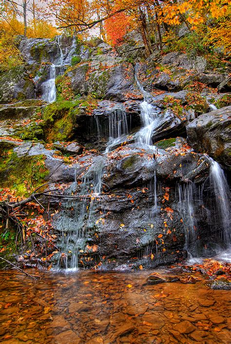 Dark Hollow Falls - Shenandoah National Park - a photo on Flickriver