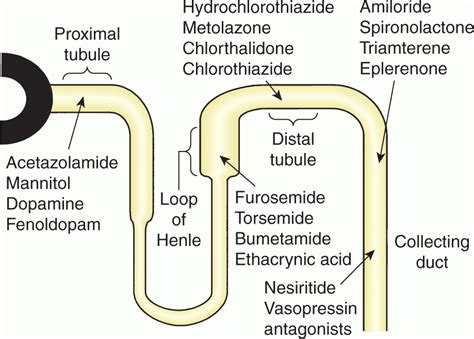 Diuretics | Abdominal Key