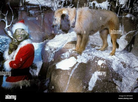 Max Dog Grinch Stole Christmas High Resolution Stock Photography and ...