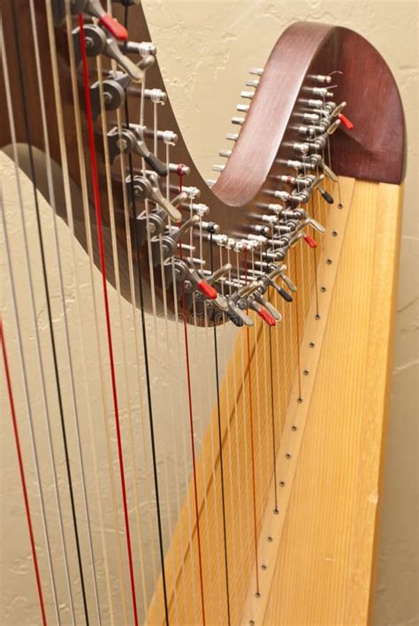 Harp Strings stock photo. Image of lyrical, learning - 46891660