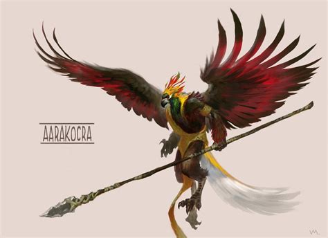 Colorful Aarakocra! - General Discussion - D&D Beyond General - D&D Beyond Forums - D&D Beyond ...