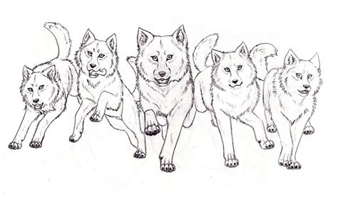 Wolf Pack Sketch at PaintingValley.com | Explore collection of Wolf ...