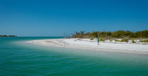 Cayo Costa State Park | Cayo Costa Ferry | Must Do Visitor Guides