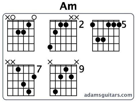 Am Guitar Chords from adamsguitars.com