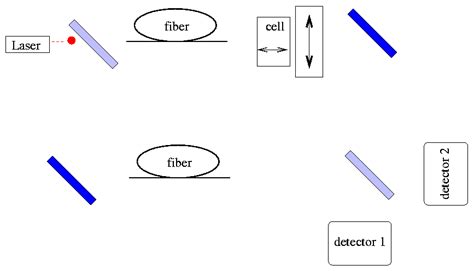 So, putting it all together, if light behaves like a photon,and we ...