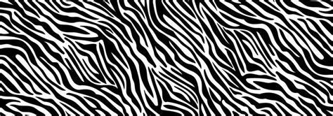 Zebra Pattern Vector - All About Logan