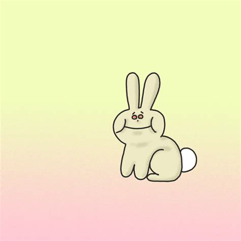 Funny Bunny GIFs - Find & Share on GIPHY