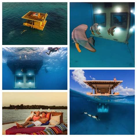 The Manta Resort | Manta resort, Tanzania, Just go