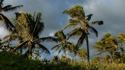 Guide to Weathering Hurricane Season In Hawaii - Next Vacay